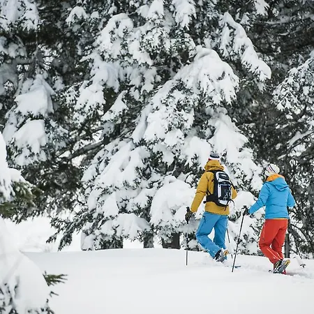 Konukevi Alpenpension Pfurtscheller
