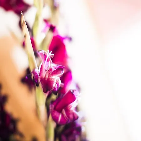 Casa de hóspedes Alpenpension Pfurtscheller 4*