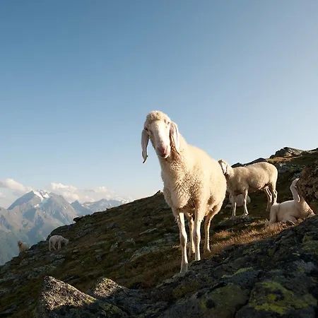 Konukevi Alpenpension Pfurtscheller