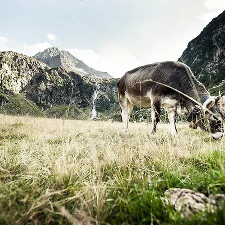 Alpenpension Pfurtscheller