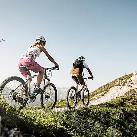 Alpenpension Pfurtscheller Konukevi 4*