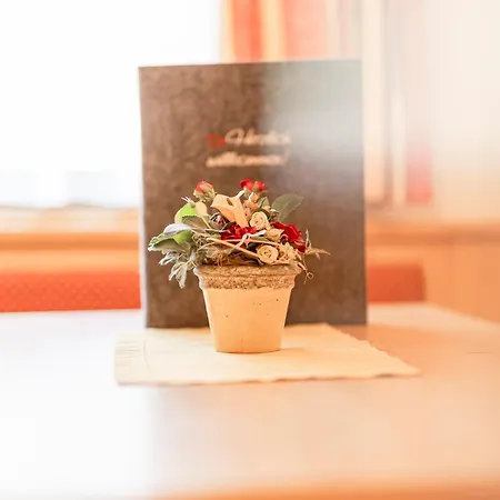 Alpenpension Pfurtscheller 4*