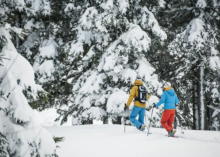 Gæstehus Alpenpension Pfurtscheller