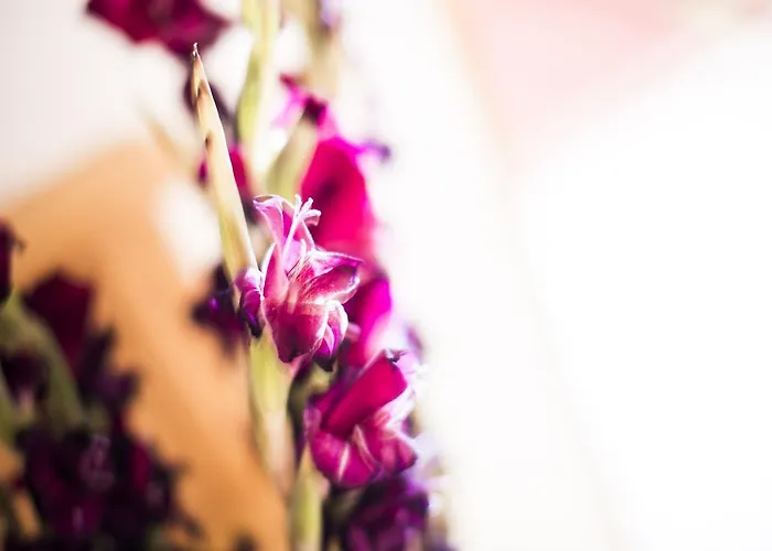 Gæstehus Alpenpension Pfurtscheller 4*