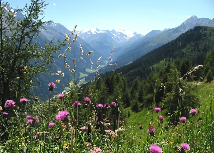 Alpenpension Pfurtscheller