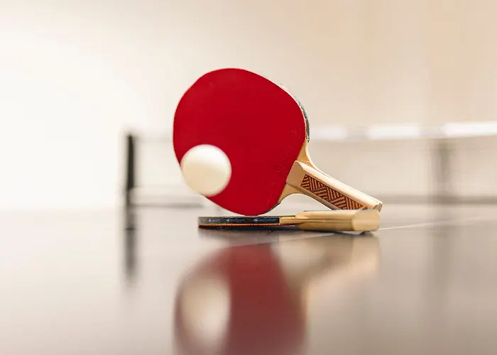 Gæstehus Alpenpension Pfurtscheller