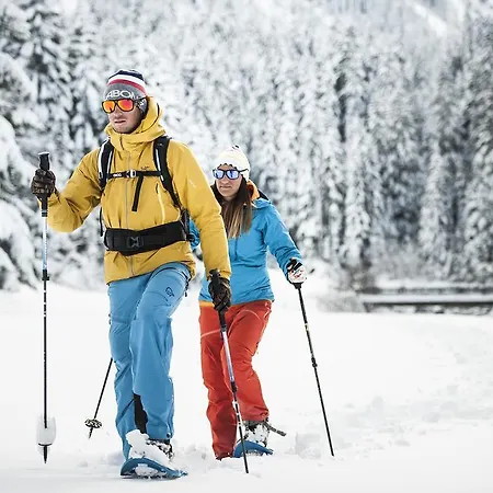 Alpenpension Pfurtscheller 3* Neustift im Stubaital
