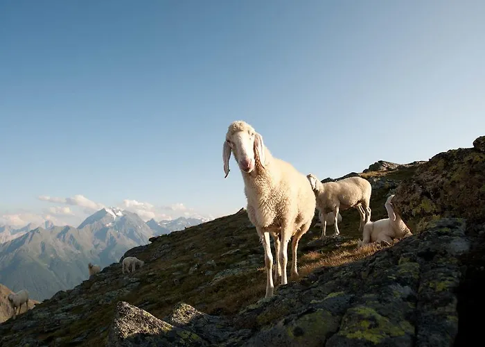 Penzion Alpenpension Pfurtscheller
